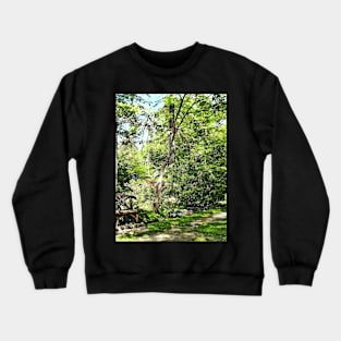 Path in the Park Crewneck Sweatshirt